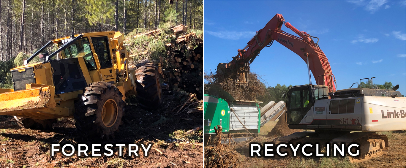 Forestry and Recycling